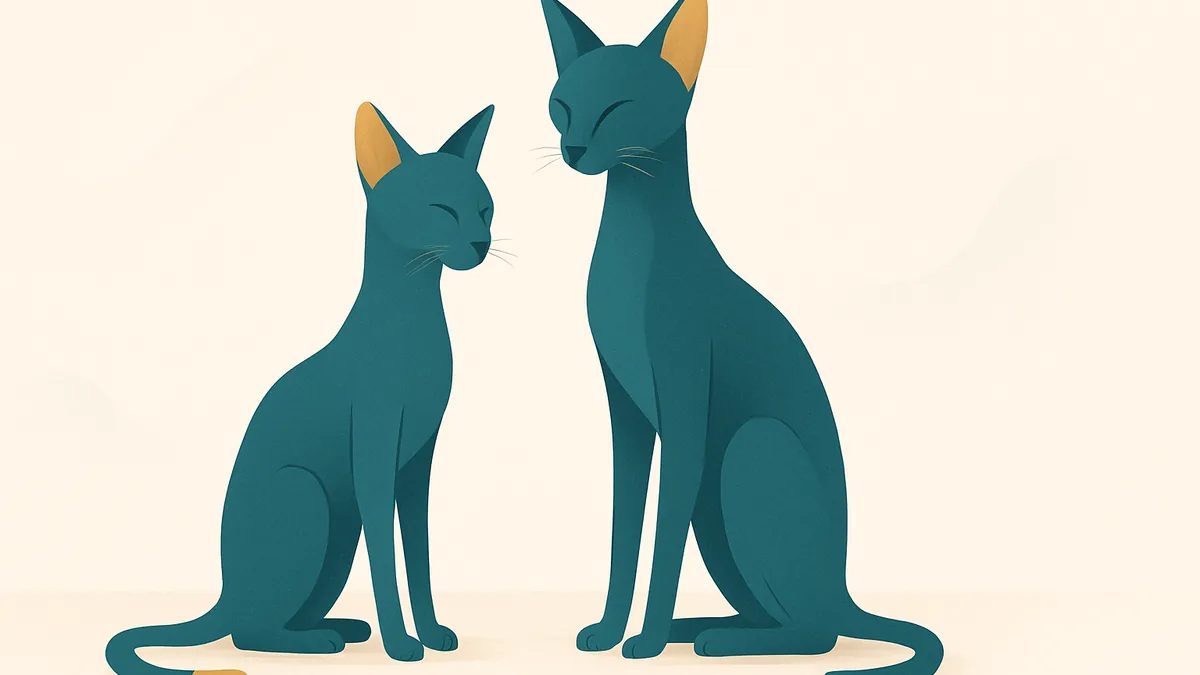 Cornell Confirms First Marfan Syndrome Cases in Domestic Cats