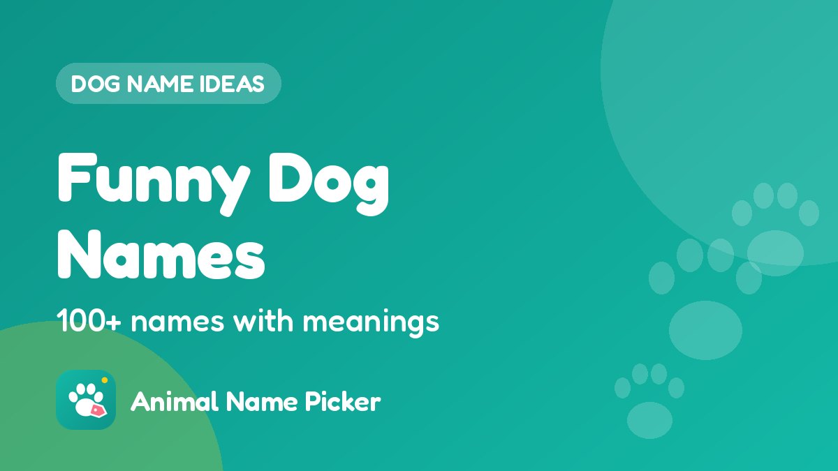 Funny Dog Names - 100+ ideas with meanings