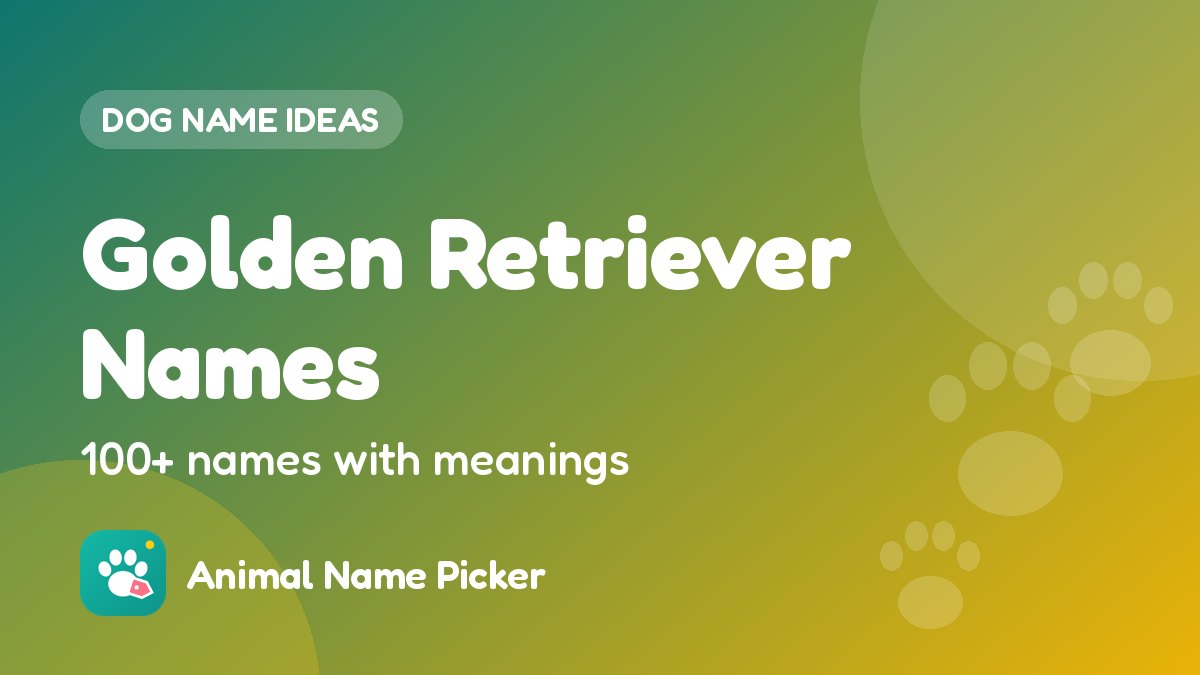 Golden Retriever Names - 100+ ideas with meanings