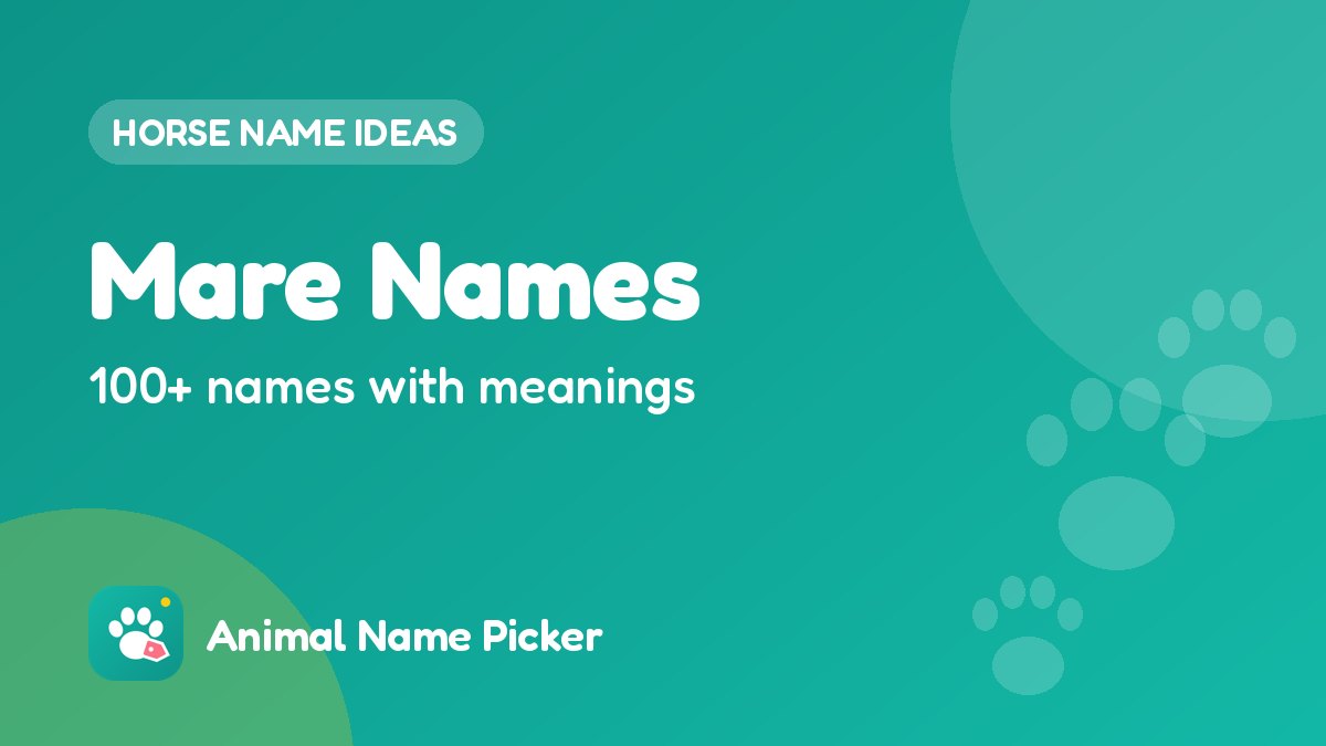 Mare Names - 100+ ideas with meanings